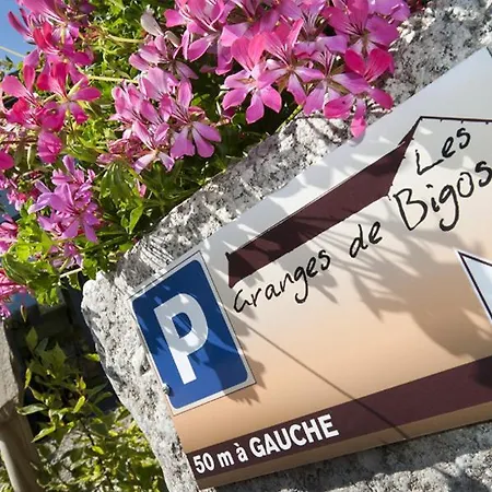 Logis Les Granges De Bigose 3* Rimeize